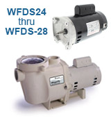 WFDS Dual Speed Up Rated Motors
