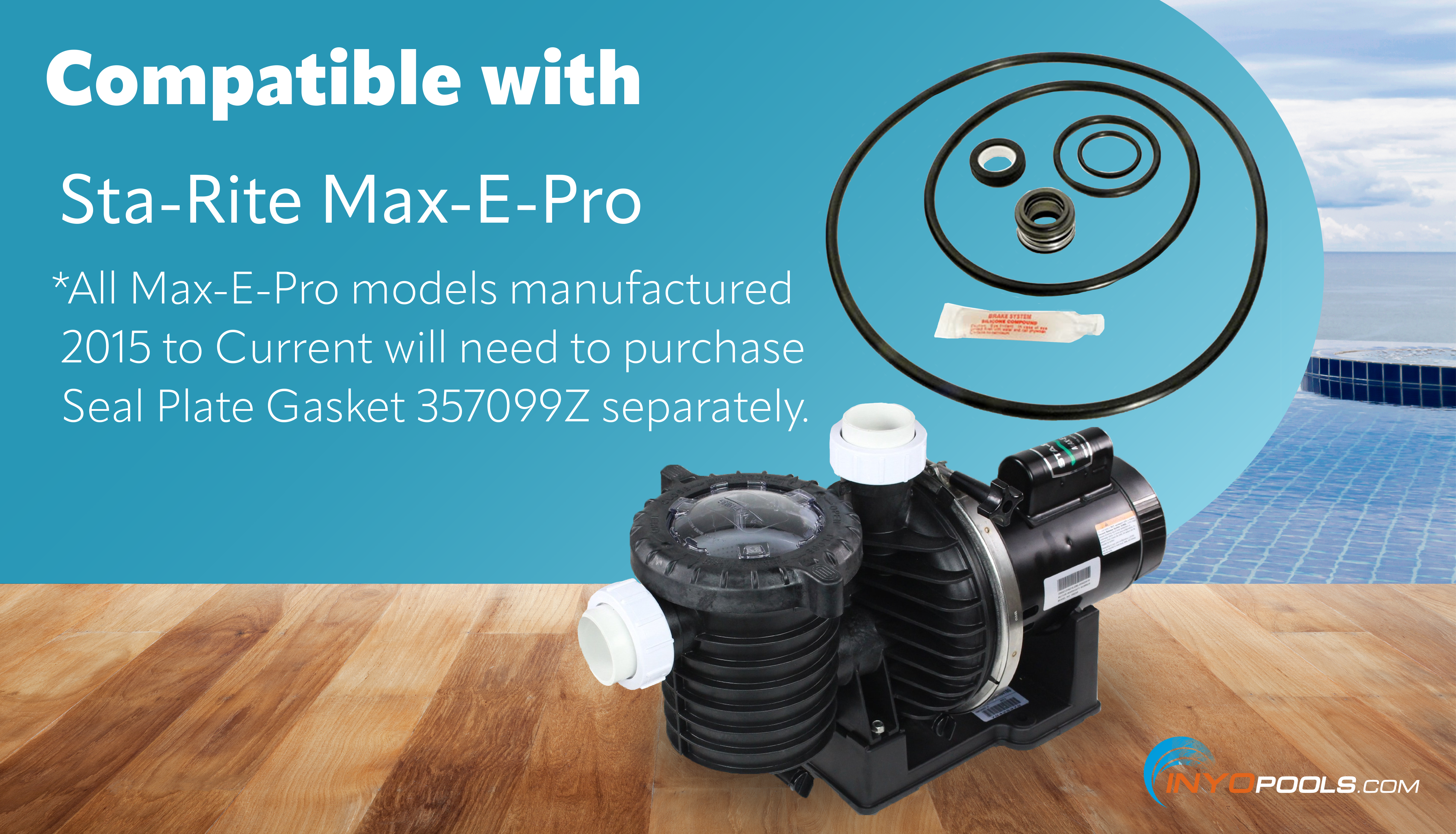 Sta-Rite Max-E-Pro Pump Seal Kit