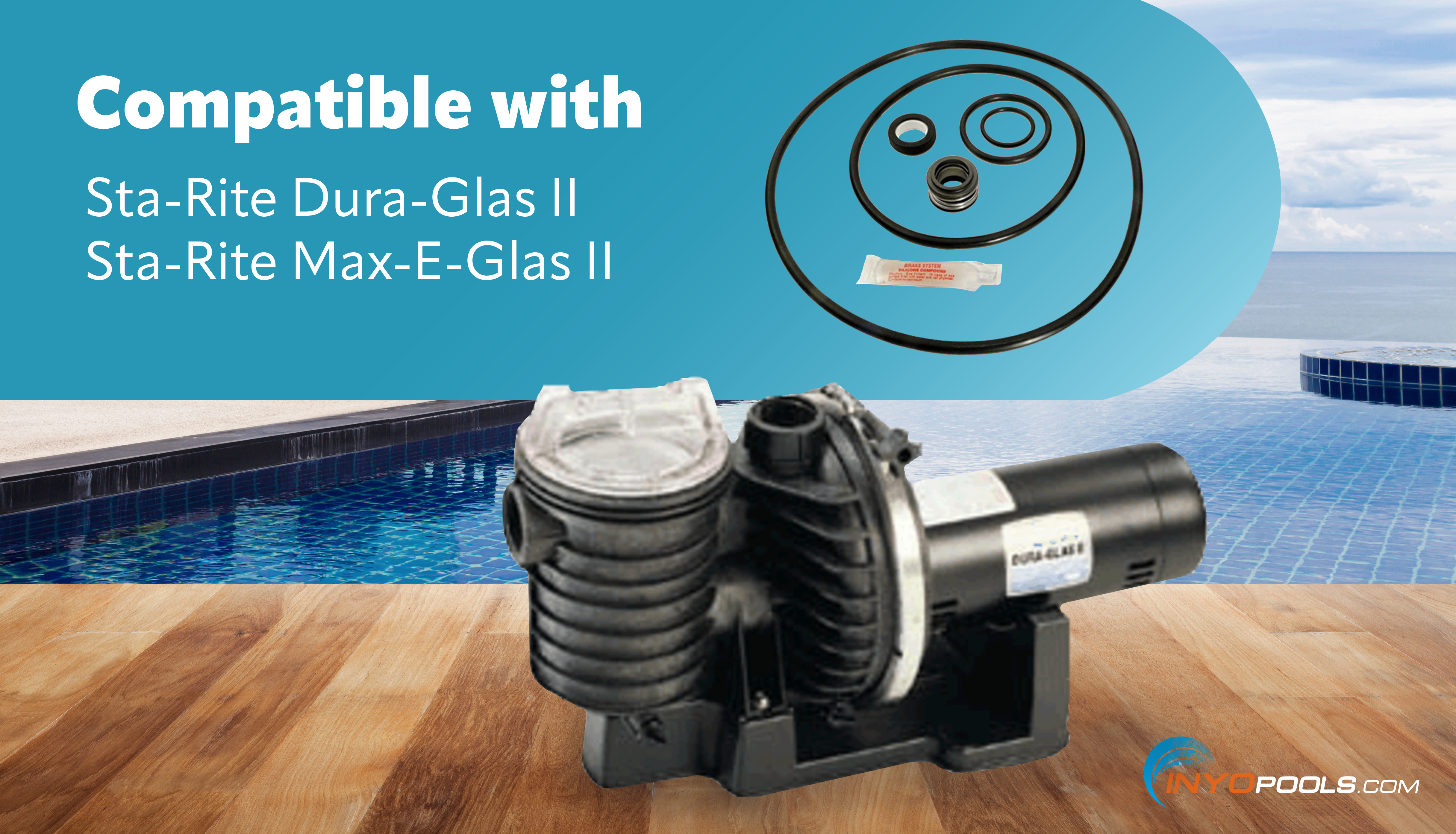 Sta-Rite Dura-Glass II Pump Seal Kit