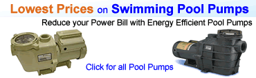 swimming pool pumps