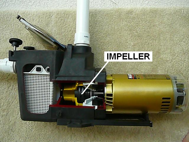 new pool pump motor
