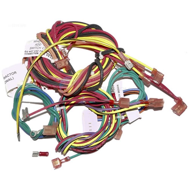 Raypak wire Harness, Iid - 009490F