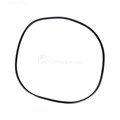 Trapezoid O-ring for Pentair FNS and Sea Horse Pool Filter Models - 19-5008