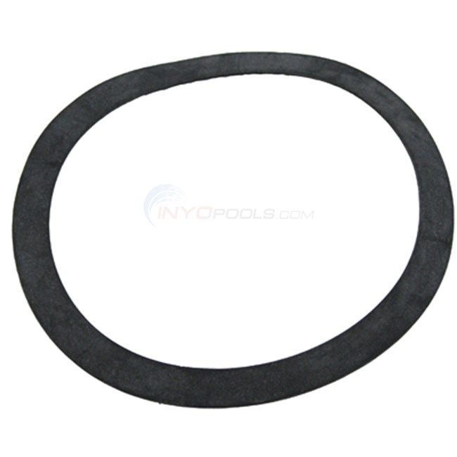 Zodiac Nature 2 Professional G Replacement Inlet Gasket Discontinued by Manufacturer - W13087