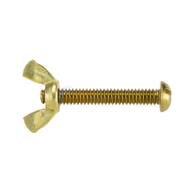 Pentair Wing Nut And Bolt, Brass (r221156)