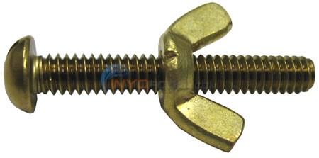 Pentair Wing Nut And Bolt, Brass (r221156)