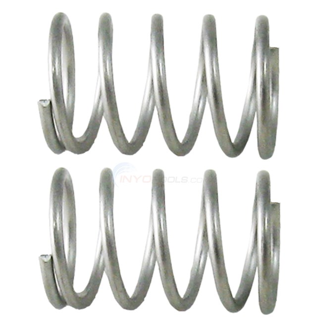 Pentair Compression Spring, (sold As Set Of 2) (eg16a)
