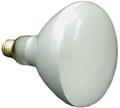 Halco 120v 300w Flood Bulb for Pool Light, Standard Base E26 - BR40FL300