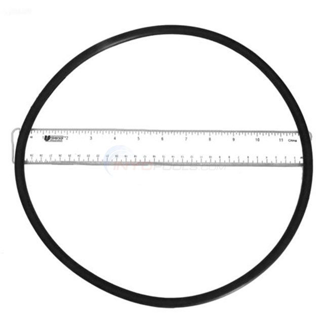 Pentair Seal Plate O-ring for EQ Series - 356780