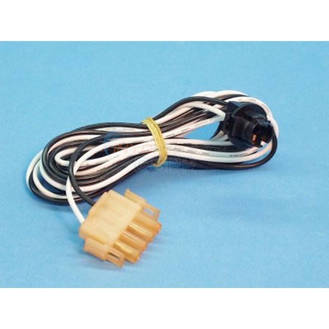 Light Harness, Socket Assembly W/ Amp Plug - 37-0101D-1