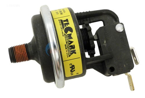 Pentair Water Pressure Switch (420010060s)