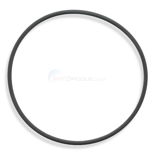 Waterco Lid O-ring - 635052