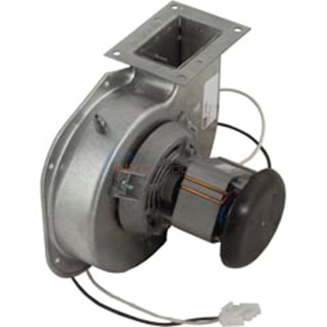 Hayward FDXLBWR1930 FD Combustion Blower, for Universal H-Series Low Nox Pool Heaters