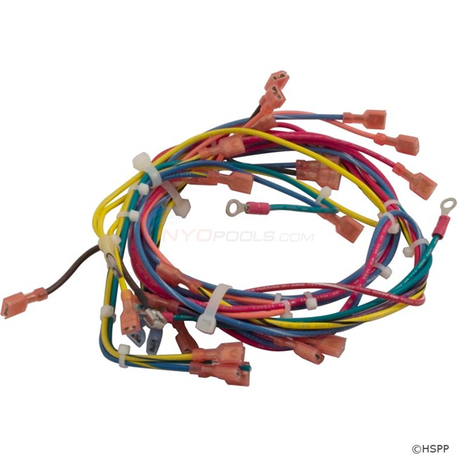 Raypak Wire Harness, Dsi, 130 - 011608F