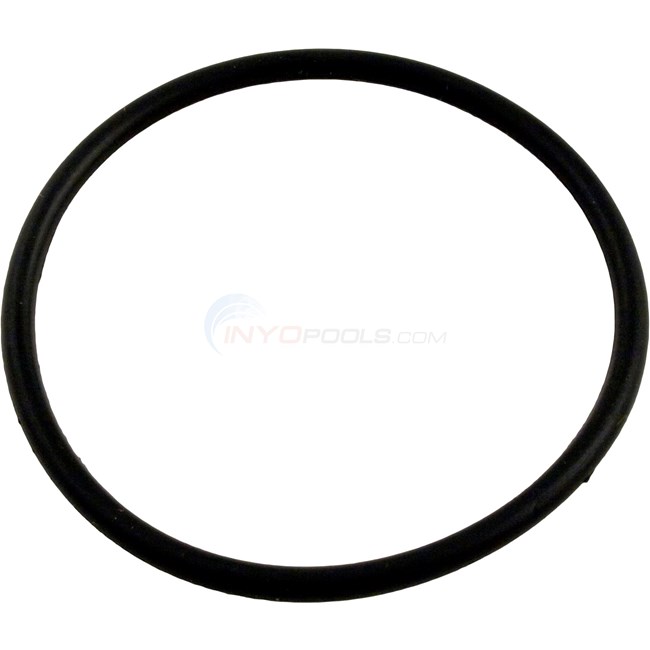 O-Ring, Plastic Hi Flo 2" Union (O-301) (SD6560-044)