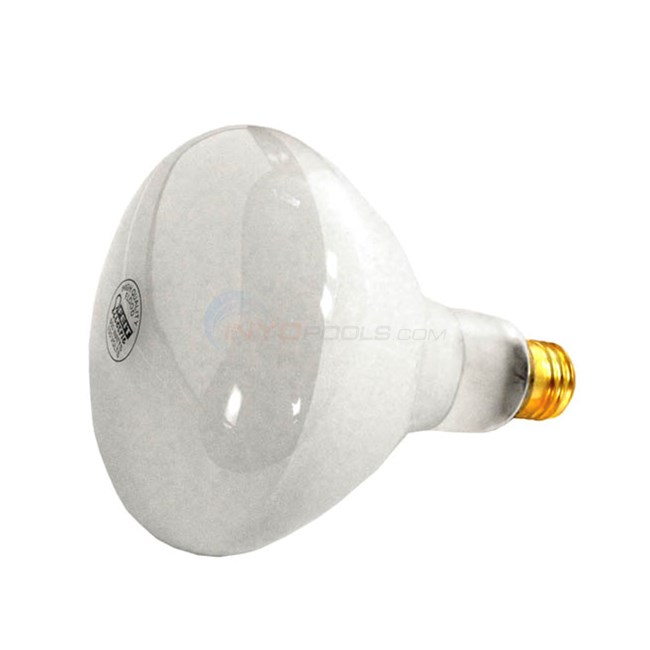 500w/120v Bulb Medium Base (spx0504z7)