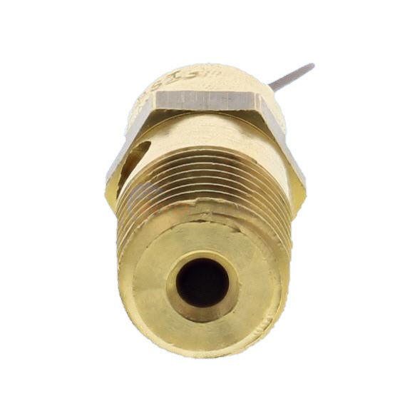 Pentair Pressure Relief Valve (350087)
