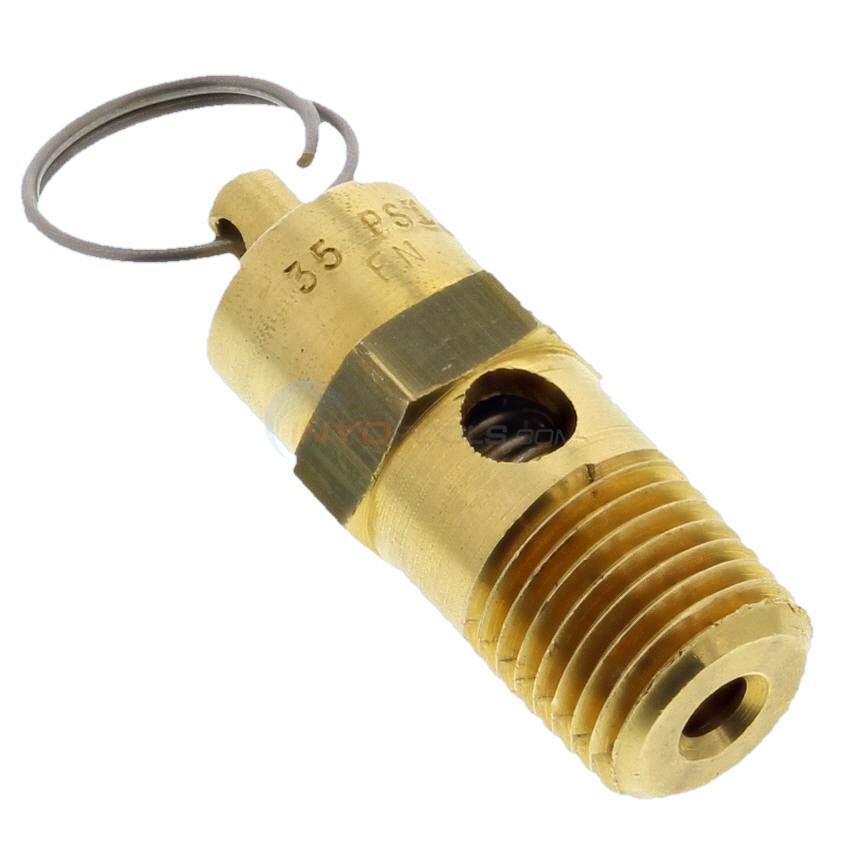 Pentair Pressure Relief Valve (350087)