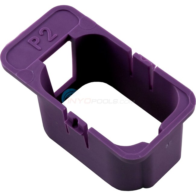 Keying Enclosure, HC-P2-Violet, Pump 2 (120/240) (9917-100907)