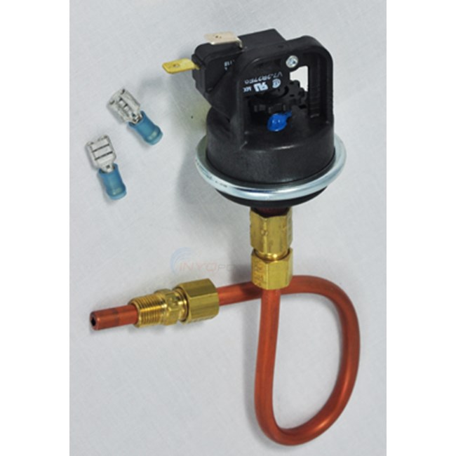 Raypak Pressure Switch (003651f)