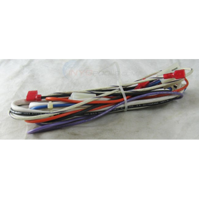 Pentair Wire Harness, Gas Valve (072193)