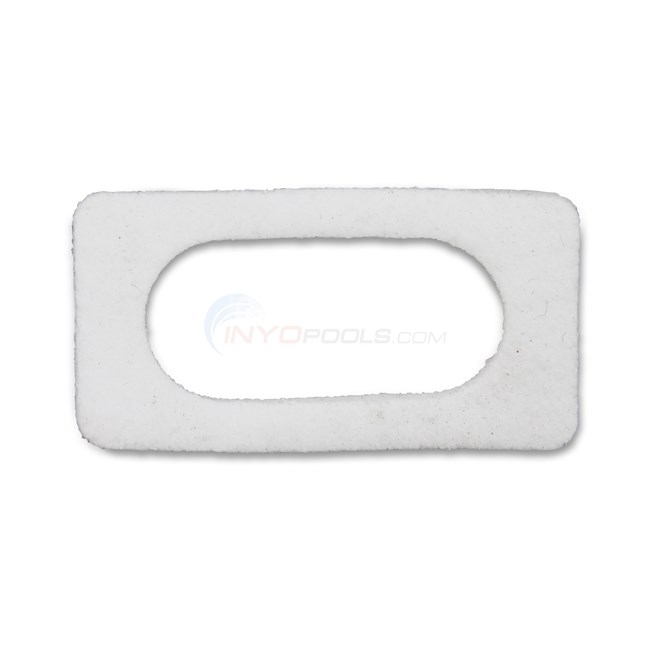 Pentair Ignitor Gasket (42001-0066s)
