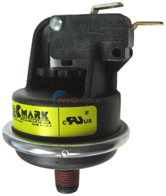 Pentair Water Pressure Switch (420010060s)