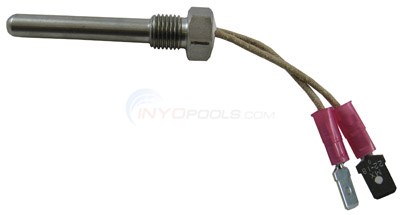 Pentair Stack Flue Temp Sensor 420020024S