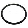 UNION O-RING (PACK OF 12) (4600-5064)