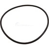 O-ring, Millennium Filter (720 R 1750057)