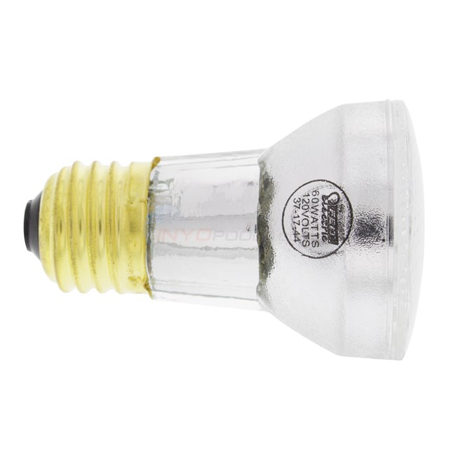 Bulb, Flood Lamp 60w-120v (R20fl100) - 79108000