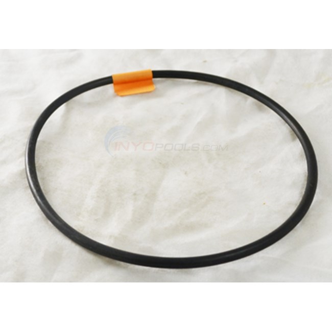 Custom Molded Products Lid O-ring (26101-500-530)