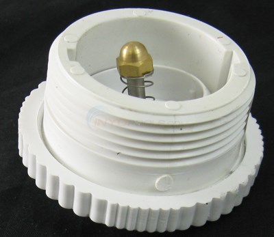 Pentair Return Line Check Valve, 1.5 Spa Return (010646) (DS