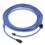 Maytronics Dolphin Cable, No Swivel, 60', DIY Plug, 2 Wire - 99958903-DIY