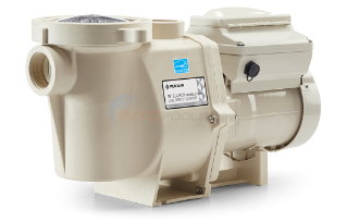 IntelliFlo 3HP VS+SVRS Variable Speed Pool Pump - EC-011057