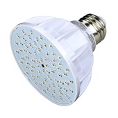 Pureline LED Spa Light Bulb, Color Changing, 120 Volts, 6 Watts - PL5887