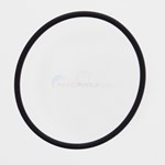 Aladdin Outlet Pipe O-ring for Hayward, Pentair, and Jandy Filters - 365333
