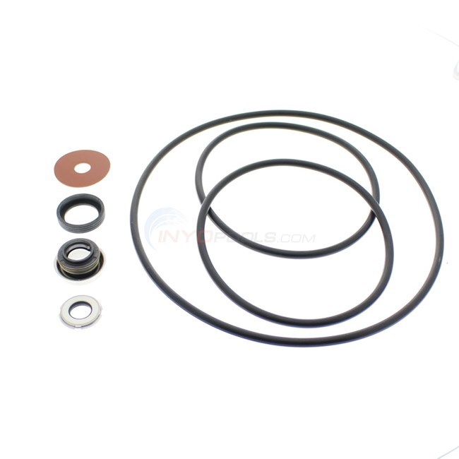 Water Ace Pump Seal Repair Kit Includes Seal & O-rings (25281a007) - INYOPools.com