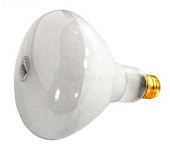 500W Flood Light Bulb, 120V, R-40, Hayward, Pentair Lights - 120V500W