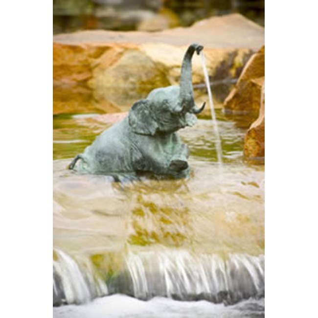 Aquascape Sitting Elephant Spitter - 10.5"H - 98351