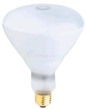 500 Watt R40 120/130-Volt Pool Light Bulb - NA706
