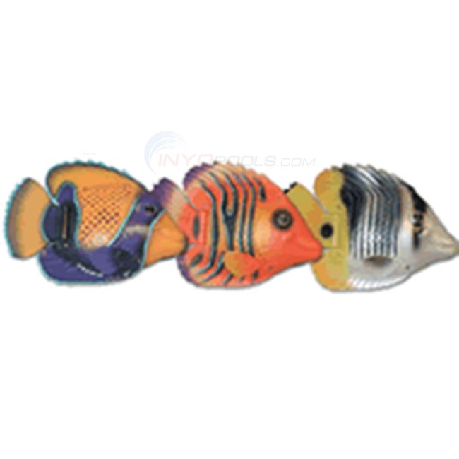 Swimways Rainbow Reef Fish (Single Fish) - NT232
