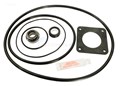 America Products Ultra Flow and Bronze Pump Seal Kit - Model GOKIT20