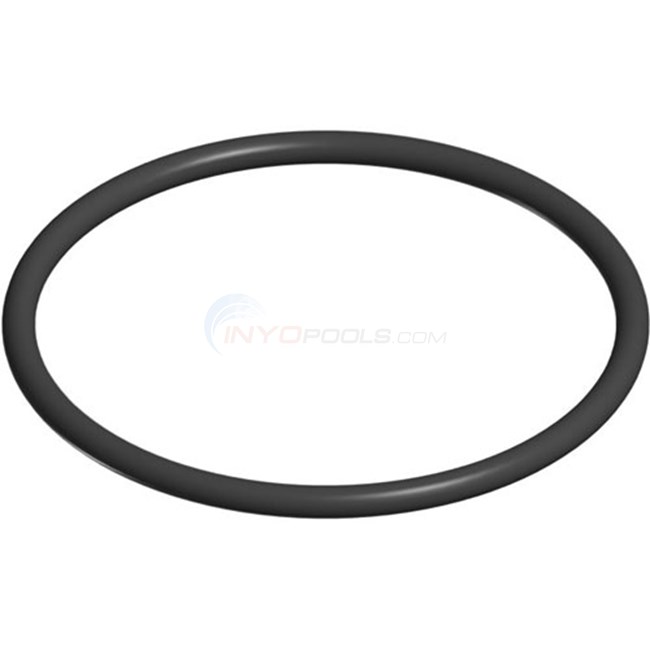 Strainer Cover O-ring - SPX2300Z4