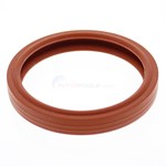 Guardian Silicone Lens Extra Heavy Duty Gasket for Pentair SpaBrite