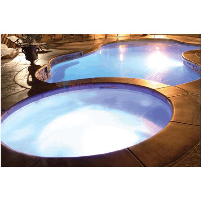 Next Step Products Buddy Color Changing LED Pool Light 12V 80' Cord - BUDDY-LITE-RGB-80