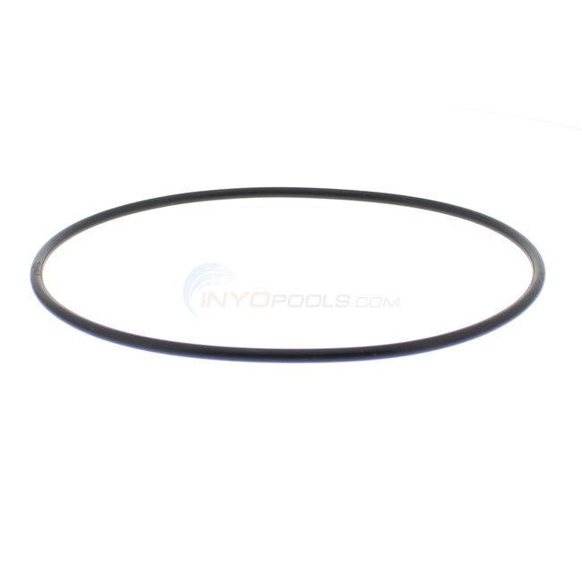 Parco Pentair Predator, Clean and Clear Tank O-ring Generic - 447