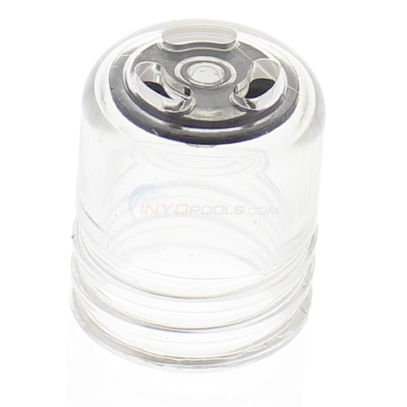 Pentair Sight Glass w/ Vacuum Protector (272550)