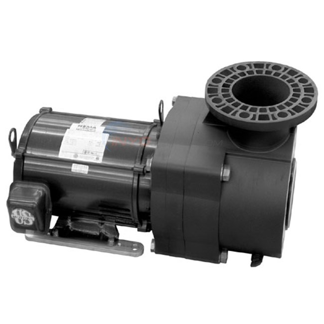 Pentair EQ Series Pump 15HP 3-Phase 208-230/460V W/o Strainer (EQK-1500)