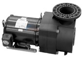 EQ Series Pump 7.5HP 1-Phase 230V W/o Strainer (EQ-750)